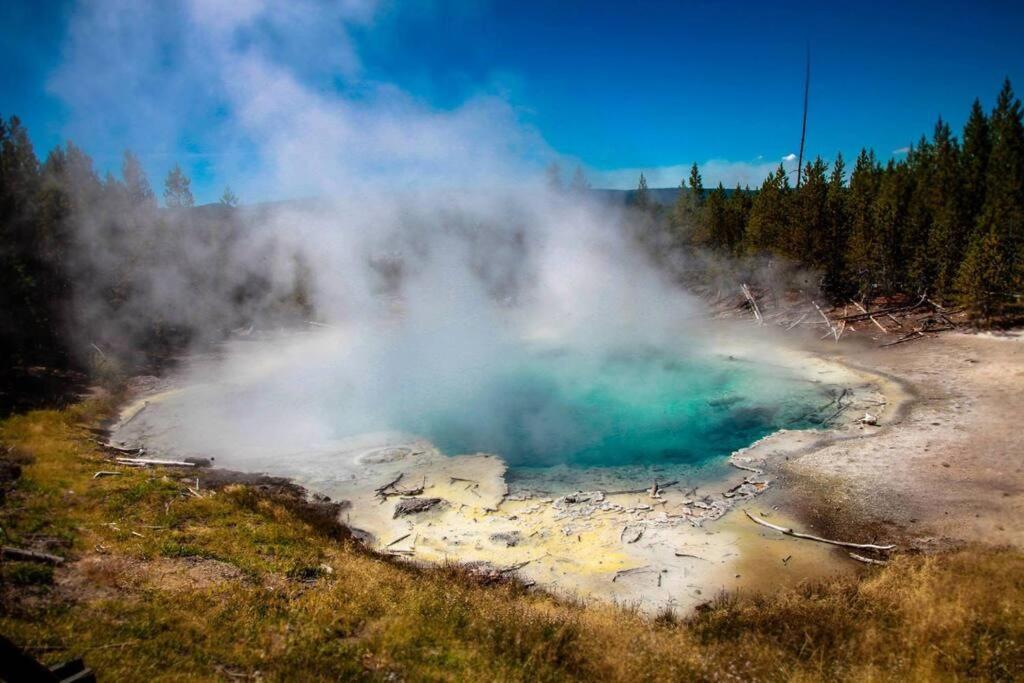 White Owl Retreat Yellowstone Grand Teton Айлънд Парк Екстериор снимка